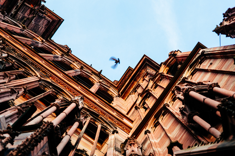 Illustration for article titled 30 Photos Taken Straight Up